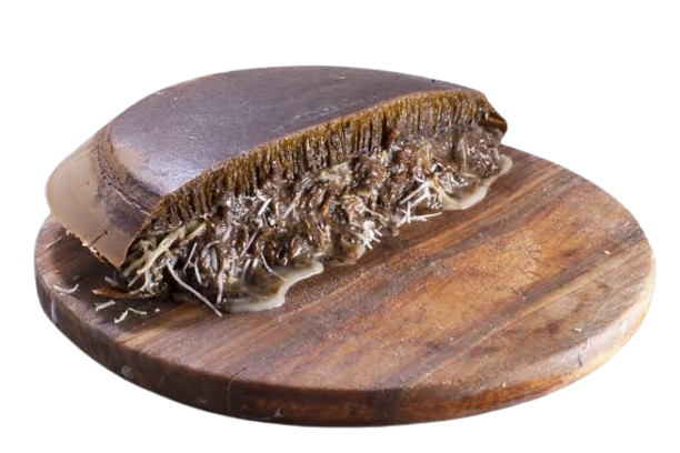 Mini Martabak (MiniBite)